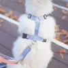 ペットドッグハーネスとリーシュセット調整可能な猫の子犬ウォーキングランニングセーフソフトトラクションエスケーププルーフペットペットペットペットベルトL230620