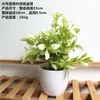 Flores decorativas 1 conjunto de plantas artificiais simuladas Milan Grass Bonsai Plastic White Flower Pot Year Home Desk Garden Decoration