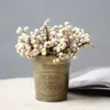 Fiori secchi 20 pezzi di batuffoli di cotone naturale Dired Flower Plants Dry Real White Fruit Bunch Fiori decorativi Fai da te Wedding Home Decoration R230725