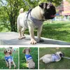 Dog Harness And Leash Set Reflective Breathable Adjustable Vest With Light For Cat Rabbit Small Medium Dogs Supplies XS/S/M/L/XL L230620