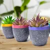 Decorative Flowers 6Pcs Miniature Bonsai Hand Painted Stable Base Mini Potted Plant Balcony Garden Succulent Ornament Home Decor