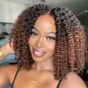 Lace Wigs 12''Short Hair Afro Kinky Curly Wig For Black Women ladies Cosplay Lolita Synthetic Natural Glueless Brown Mixed Blonde Wigs 230725