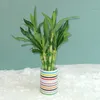 Faux Floral Greenery 40cm rFtificial Lucky Bamboo Succulent Fake Plant Flower Green Potted Garden Outdoor Dining Table Fish Tank Home Decoration 230725