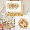 Dried Flowers 70Pcs Mini Real Dried Baby's Breath Flowers White Pressing Floral Bouquet for Wedding Card Making R230725