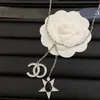 Luxe sprankelende kristallen CC ketting Modieuze natuurlijke parel ketting voor vrouwen Merk Klassieke Designer Ketting Bruiloft Sieraden Cadeau