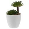 Fleurs décoratives plantes d'intérieur plantes succulentes petit faux patio artificiel bonsaï en pot Mini Pots en plastique