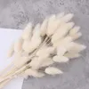 Dried Flowers 50Pcs Mix Lagurus Bunny Tails Pampas Grass Decor Home Cake Rabbit Bouquet for Boho Table Decoration 230725