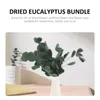 Decoratieve bloemen Nep binnendecoratie Huisambachten Eucalyptusbladeren Gedroogde boom Levende bundel bewaard