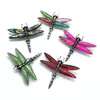 Hanger Kettingen Vintage Klassieke Abalone Shell Dragonfly Broche Glamour Sieraden Dames Heren Mode Insect Metalen Badge