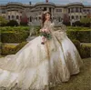 Quinceanera Champagne Tulse Dresses Ball Bight Birthday Party Платье для кружевного выпускного платья vestidos de Quinceanera с длинным рукавом