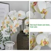 Dried Flowers 32 Inch Artificial Phalaenopsis 9 Heads Orchid Butterfly Stem Plants for Home Decor 6PCS 230725