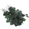 Decoratieve Bloemen Eucalyptus Kunstmatige Stengels Gedroogde Echte Garland Bladeren Groen Nep Faux Achtergrond Klimop Groene Takken Boerderij Thuis Muur