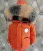 Dziewczęta chłopcy mody puffer płaszcza wiatroodporna ekspedycja moda gęś śniegu srebrne lis futra z kapturem w dół płaszcz designerski ubrania dla dzieci