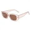 Sunglasses INS Vintage Square Woman Fashion Small Frame Female Brand Designer Retro Shades Gafas