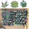 Fleurs décoratives 12/16 pièces plantes succulentes artificielles Faux Mini PVC simulé plantes florales artisanat bricolage accessoires maison bureau bureau décor