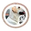 Dog Collars Collar Rhinestone Cuban Chain For Small Medium Large Dogs Cat Golden Metal Pet Necklace Jewelry Accessories Hiphop