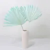 Decorative Flowers Lychee Life Colorful Cattail Fan Leaf Dried Flower Palm Home Wedding Christmas Party Decor Arrangement Material