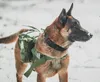 Obroże dla psów smyczy taktyczna kołnierz dla psów z imieniem wojskowy kołnierz psów spersonalizowany z ręką kontrolną do średniego dużego treningu pieszych psów 230726