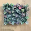 Dekorativa blommor 12/16st konstgjorda suckulenter falska faux mini PVC simulerade blommor växter hantverk diy tillbehör hemmakontorsdekor dekorera