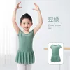 Stage Wear Ballet Jurk Dans Maillots Voor Kinderen Meisjes Transparante Chiffon Rokken Kinderkleding Training Bodysuits