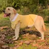 Dog Apparel Summer Dog Dress Small Big Large Dog Clothes Puppy Poodle Corgi Samoyed Husky Labrador Golden Retriever Costume Pet Clothing 230725