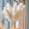 Dried Flowers 50cm Bouquet Pampas Grass Reed Fleurs Sechees Flores Artificial Home Decor Christmas Wedding Decoration 230725