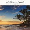 Sculptures Sunsets Natural Sea Beach Coconut Palm Panorama Landscape Canvas Painting Posters and Prints Wall Art Picture for Living Room