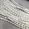 Beads Natural Shell Beading Mother Of Pearl Loose Isolation Bead For Jewelry Making DIY Bracelet Necklace Accessories