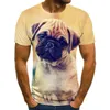 Men's T-skjortor 3D T-shirts Intressanta toppar O-Neck Plus Size Streetwear Dog Pattern T-shirt Summer Casual