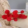 Dried Flowers Natural Flower Real Strawberry Fruit Bouquet for DIY Nordic Home Country Decor Wedding Party Decoration Accessories 230725