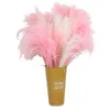 Fleurs séchées Naturel Séché Rose Herbe Décor Blanc Petit Pompas Floral Artificielle Fleur Sèche Pompous Remplissage pour La Décoration Intérieure R230725