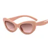 Solglasögon Shenfairy Big Frame Sexy Women Cat Eye Glasses Fashion Brands Female Sun Inspired Retro Vintage Shades UV400