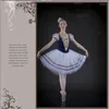 Scene bär vuxen Swan Lake Dance Clothing Apparel Woman Ballet Kirt Professional Picture Dress Blue