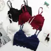 2019 Haftery Bra Wine Wino Red Biała Biała Czarna koronkowa bralette Plus Size Bra Push Up Wireless Backless Sexy Bras211g