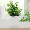 Decorative Flowers 4 Pcs Artificial Potted Green Office Decor Fake Decors Household Bonsai Plants Imitation Ornaments Plastic Figurine