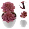 Decorative Flowers House Plants Succulents Small Artificial Fake Patio Bonsai Potted Mini Plastic Pots