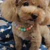 Dog Collars Pearl Necklace Collar Fashion Jeweled Puppy Cat With Pet Accessories Color Universal Colorful Supplies