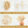 말린 꽃 70pcs 미니 진짜 말린 아기의 호흡 꽃 white whiteing floral bouquet r230725