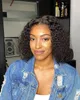 Lace Wigs 12''Short Hair Afro Kinky Krullend Pruik Voor Zwarte Vrouwen Dames Cosplay Lolita Synthetische Natuurlijke Lijmloze Bruin Gemengde blonde Pruiken 230725
