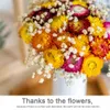 Dried Flowers 24Pcs Natural Dried Straw Flowers Daisy Daisies Artificial Sunflower Flowers Arrangements for Wedding Table Farmhouse Decor R230725