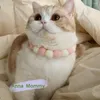 犬の首輪かわいい小さな襟を販売するパーソナライズされた耐久性のある猫のネックレスウォーキング保護アルンズデガトパセオペット製品