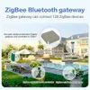 Kits Tuya Zigbee minuterie d'arrosage intelligente contrôleur d'irrigation goutte à goutte App télécommande dispositif d'arrosage automatique outil de jardinage à domicile