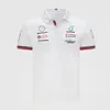 Herren-T-Shirts F1 T-Shirt Racing Revers Polo Shirt Formel 1 Fans kurzärmelige Tops Autokultur Schnell trocknende Kleidung kann angepasst werden