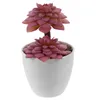 Dekorative Blumen-Kombination, kleine künstliche Pflanzen, Heimdekoration, für den Innenbereich, kleine Bonsai-Topf, gefälschte Sukkulenten, Mini