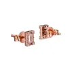 Stud Oorbellen 925 Sterling Zilver Rose Lichtgevende Oorbel Studs Past Voor Vrouwen Gift Europa Stijl Sieraden Trendy