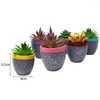 Decorative Flowers 6Pcs Miniature Bonsai Hand Painted Stable Base Mini Potted Plant Balcony Garden Succulent Ornament Home Decor