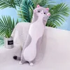 Plush Pillows Cushions 50CM Cute Long Cat Stuffed Plush Toys Cartoon Animal Stuffed Doll Toys Office Nap Sleep Pillow Cushion Children Adult Gifts 230726