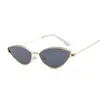 Zonnebril Mode Cat Eye Vrouwen Mannen Leuke Sexy Merk Designer Bril Zomer Retro Klein Frame Zwart Rood Cateye Sun