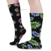 Men's Socks S rappresenta lo stock di calzini da uomo in cotone Sea Urchin Z230727