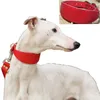 Halsbanden Riemen Koeienhuid Huisdier Halsband Duurzaam Verstelbare Ketting voor Kleine/Medium Honden Gree Greyhound Whippet 230726